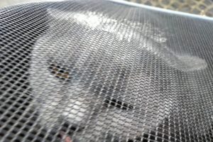 BlackBerry KEY2 LE Testfoto